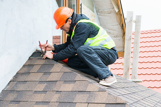 Best Roof Maintenance Services  in Wurtland, KY